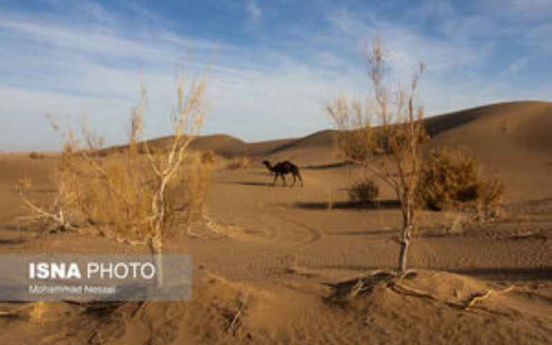 ۱۰ گردشگر مفقودی کویر طبس پیدا شدند