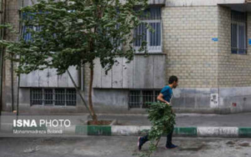 باد شدید و رگبار باران در تهران