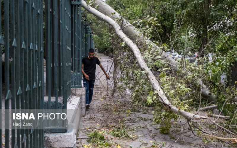 هشدار و آماده‌باش مدیریت بحران برای باد و باران شدید در نیمی از کشور