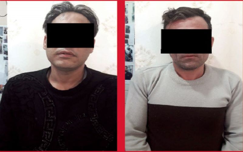 دستگیری سارق
