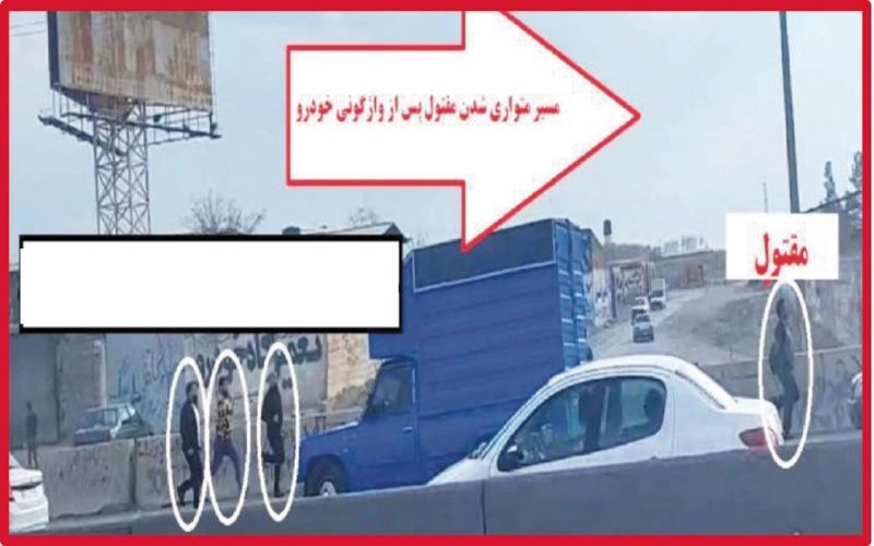 چشم آبی‌ها