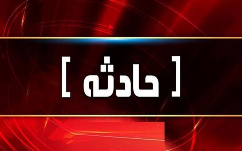 دستگیری سارق