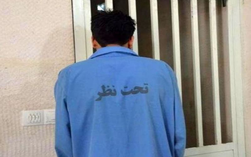 دستگیری سارق